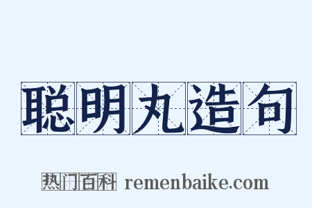 聪明丸造句是什么意思的图片